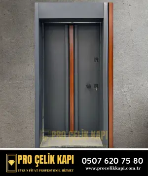 Gaziosmanpaşa Çelik Kapı - Pro 1